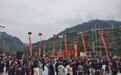 全国网友赶赴“小小徐”婚礼,总管:人多到我都蒙了,物资也多得我心里没数