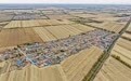 内蒙古通辽:党支部领办合作社带动增产增收(10)