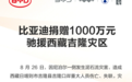 比亚迪捐赠 1000 万元驰援西藏吉隆灾区