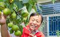 开屏见“好”|自掏30万积蓄,老宅变公益书屋!“太阳爷爷”点亮乡村娃的读书梦