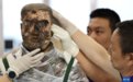 秦兵马俑发掘保护开启新模式