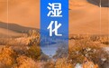 海报丨“数”览五年新疆科考有哪些新发现
