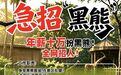 动物园年薪10万元急招人扮黑熊,在岗期间不能说人话,园方回应
