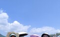 消费帮扶解产销难题,古楼冲村板栗跑出“山乡致富路”