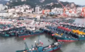 快来抢“鲜”!黄渤海伏季休渔期结束 千帆竞发争抢“开海第一鲜”