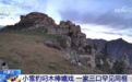 珍贵影像!红外相机拍下雪豹一家“全家福”