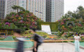 国庆花坛上新 长安街一路繁花(14)