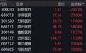 601083,涨停!运价上调,航运板块业绩+股价双丰收(附股)