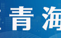 青海也能种蓝莓 “高原蓝精灵”是这样长成的