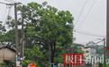 广西一中学积水众多师生被困,家长划船接人