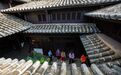 停摆的八音钟:纪律面前没有特殊者