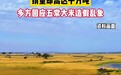 山寨五常大米泛滥,地理标志产品经不起这般折腾