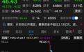 688286,1.77亿元“追光”