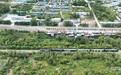 林海穿行50载 “慢火车”满载兴安“致富梦”