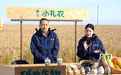 从“碱巴拉”到“新粮仓”!白城盐碱地治理新观察
