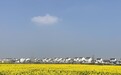 7级大风+雨雪袭鄂!今短袖明裹袄!春暖放送捧花,春寒无情捧杀