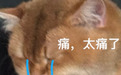 清华学霸开源Agent学习法!看不懂的PDF扔过去,直接开出互动课程