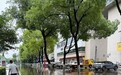 暴雨内涝运钞车无法抵达,银行人蹚水到岗金融服务不断档