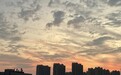 紫霞仙子来了?低至12℃!9级偏北大风+大雨暴雨!一键三天!湖北朋友们厚外套准备好