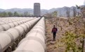 宁夏:红寺堡扬黄灌区启动2026年冬灌工作(3)