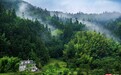 【每日一图@湖南】秋日桂东:云来山不语,人在画中行