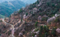 美丽中国丨万亩山花迎春来 山乡美景助共富