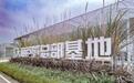 天府芦笋总部基地首批成笋上市,高峰期日产超700斤
