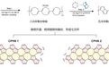 中国科学家创制新的碳纳米带实现高效电子输运