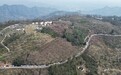 新春走基层·山乡新貌| 成都大坪村三十年蝶变:“三步”走出振兴之路