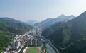 奔“县”游|到秦岭腹地,去“邂逅”野生大熊猫