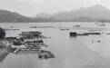 寻找照片中的TA|终于看清您的模样 永远22岁的红军军团长(8)