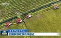新闻联播|【在希望的田野上】全国秋粮收获有序推进
