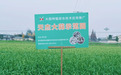 乡合农服土壤改良:给土地“治病”,让丰收“生根”