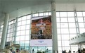 创维壁纸电视“寻美之旅”|看见田间地头的画者,更看见生活的光