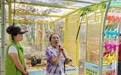 乡村CEO的田间一课