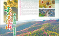 云南景迈山 千年茶林,生生不息
