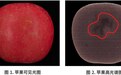观智潮|这台“小相机”专攻人眼难辨的活