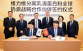 蛋白粉品牌 2026年高适配实用选购指南