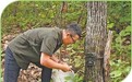 “保护东北虎豹,就是守护我们自己的家园”(守望·野生动物保护背后的故事)