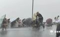 西湖突现狂风暴雨,游客瞬间被浇透!台风“白海豚”发威,景区紧急提醒