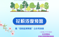 一图读懂|花粉高峰期!北京多措并举 “降浓度”,防护指南来了