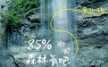 海报|来矮寨,清凉一夏!