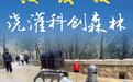 “拨”改“投”浇灌科创森林!210多家鲁企受惠于财政科技股权投资改革
