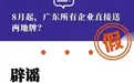 8月起,所有广东企业直接送粤港澳两地牌?谣言