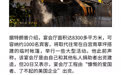 挖掘机忙个不停,特朗普对白宫做了哪些改造?
