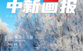 伊春:雪景模式将开启,“中国林都”的雪原里藏着一封冬日情书
