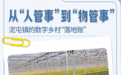 “云”端发力、泥土生金,大棚里干起“新农活”