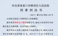 出钱帮国家统计局原局长王保安代孕的商人被判刑