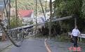 日千叶县上千户房屋因台风受损 自卫队出动抢修电力