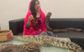 巴基斯坦女星养鳄鱼蛇当宠物 还用它们“威胁”莫迪